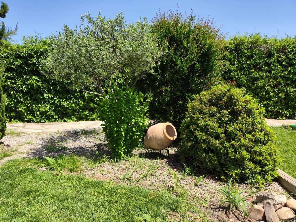 Villa San Julian Estarondo Tudela Exterior foto